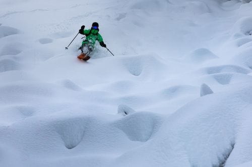 BC Guide