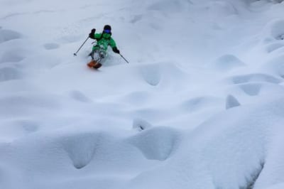 BC Guide