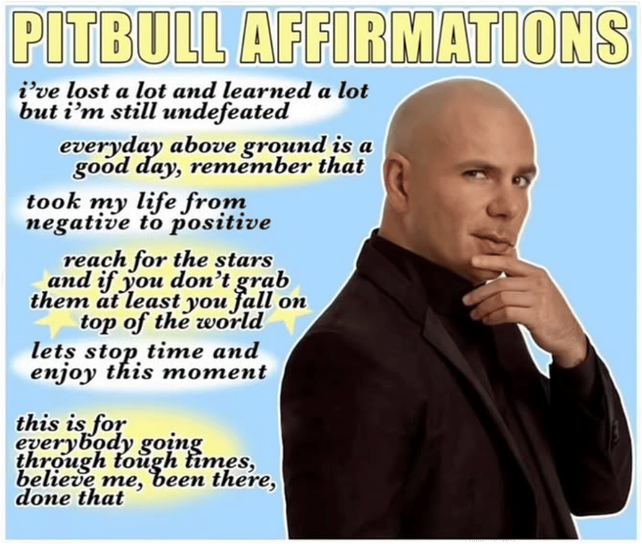 Reciting Pitbull Affirmations