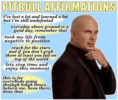 Pitbull Affirmations
