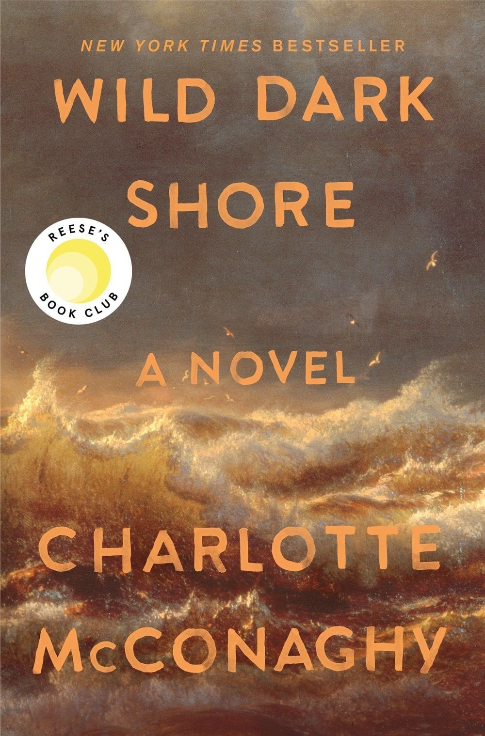Wild Dark Shore by Charlotte McConaghy
