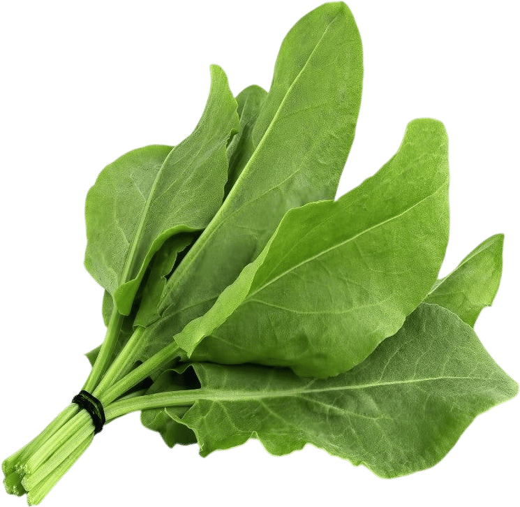 Green Borsch