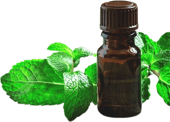 Peppermint oil for migraines