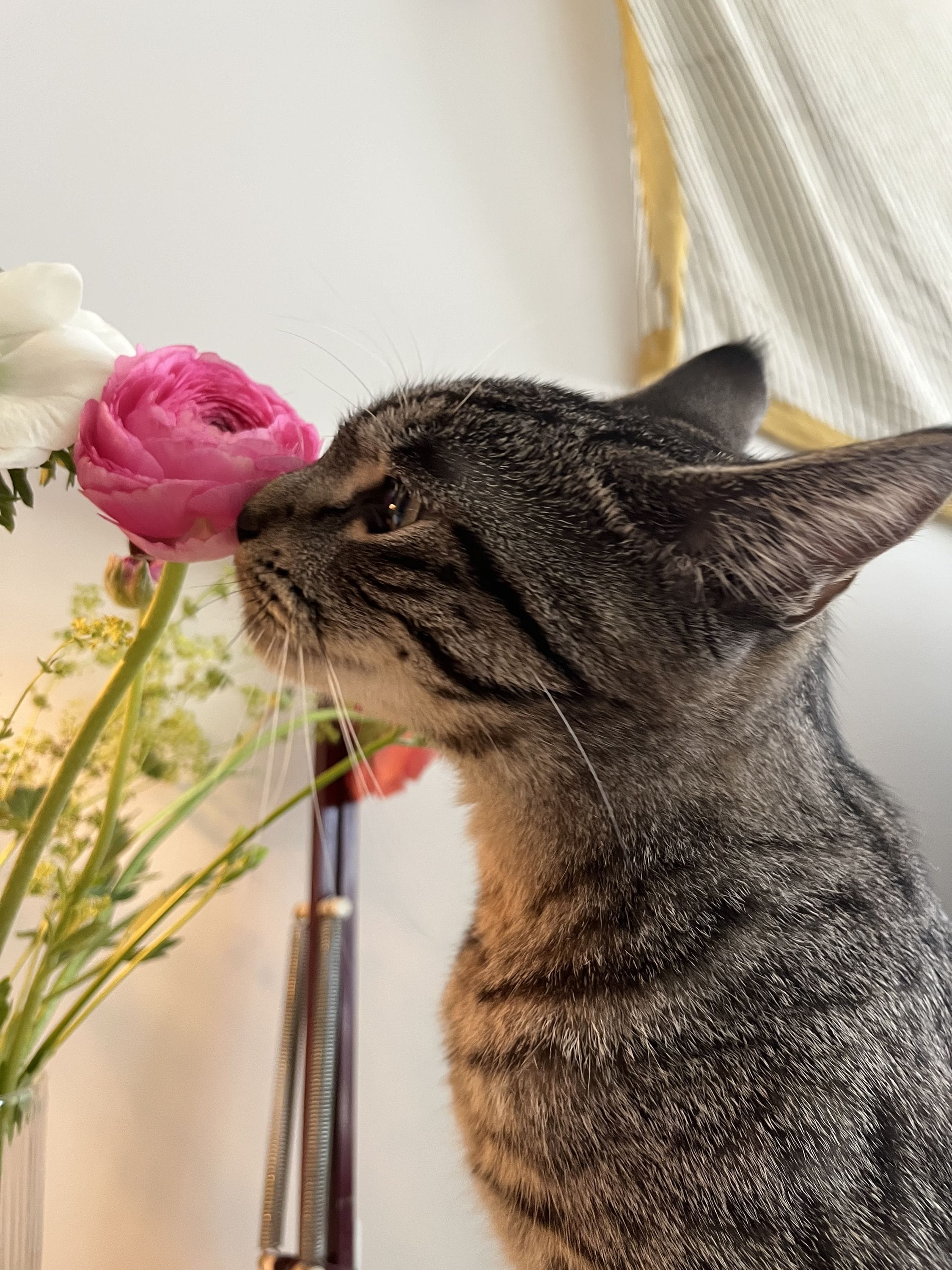 Stopping to smell roses* of the past
