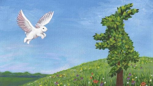 Lesser known Margaret Wise Brown board books