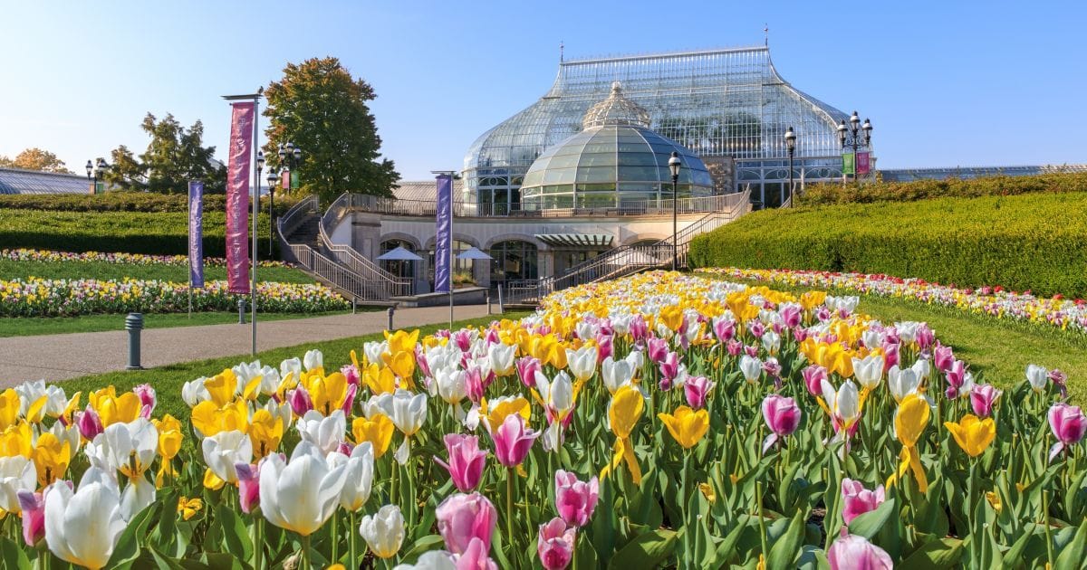 phipps