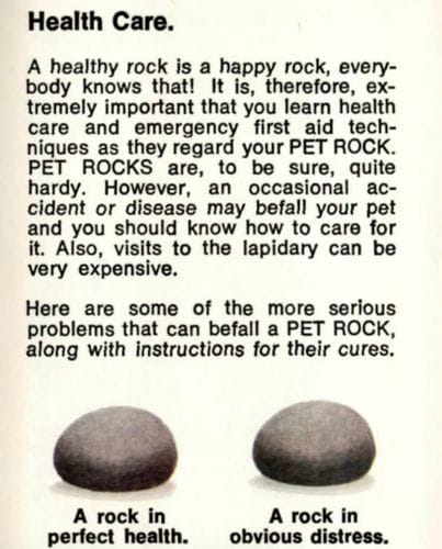 Pet Rock Manual