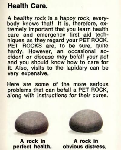 Pet Rock Manual