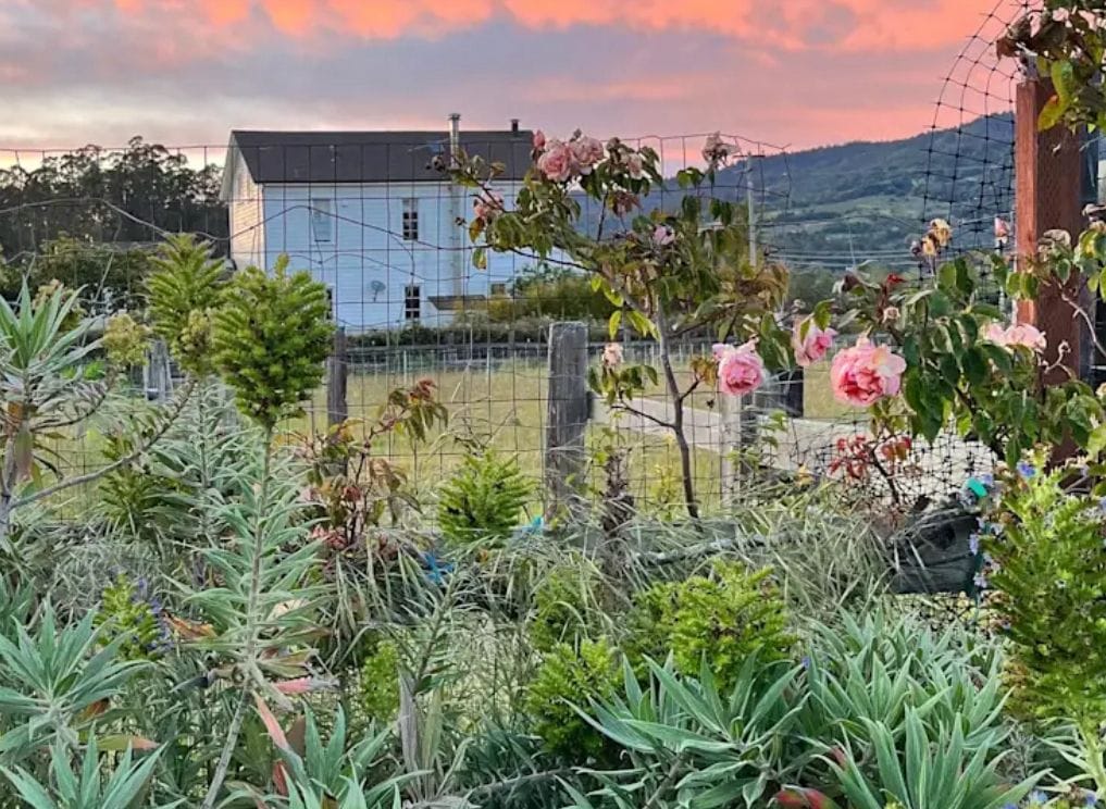 Hipcamping in Bolinas