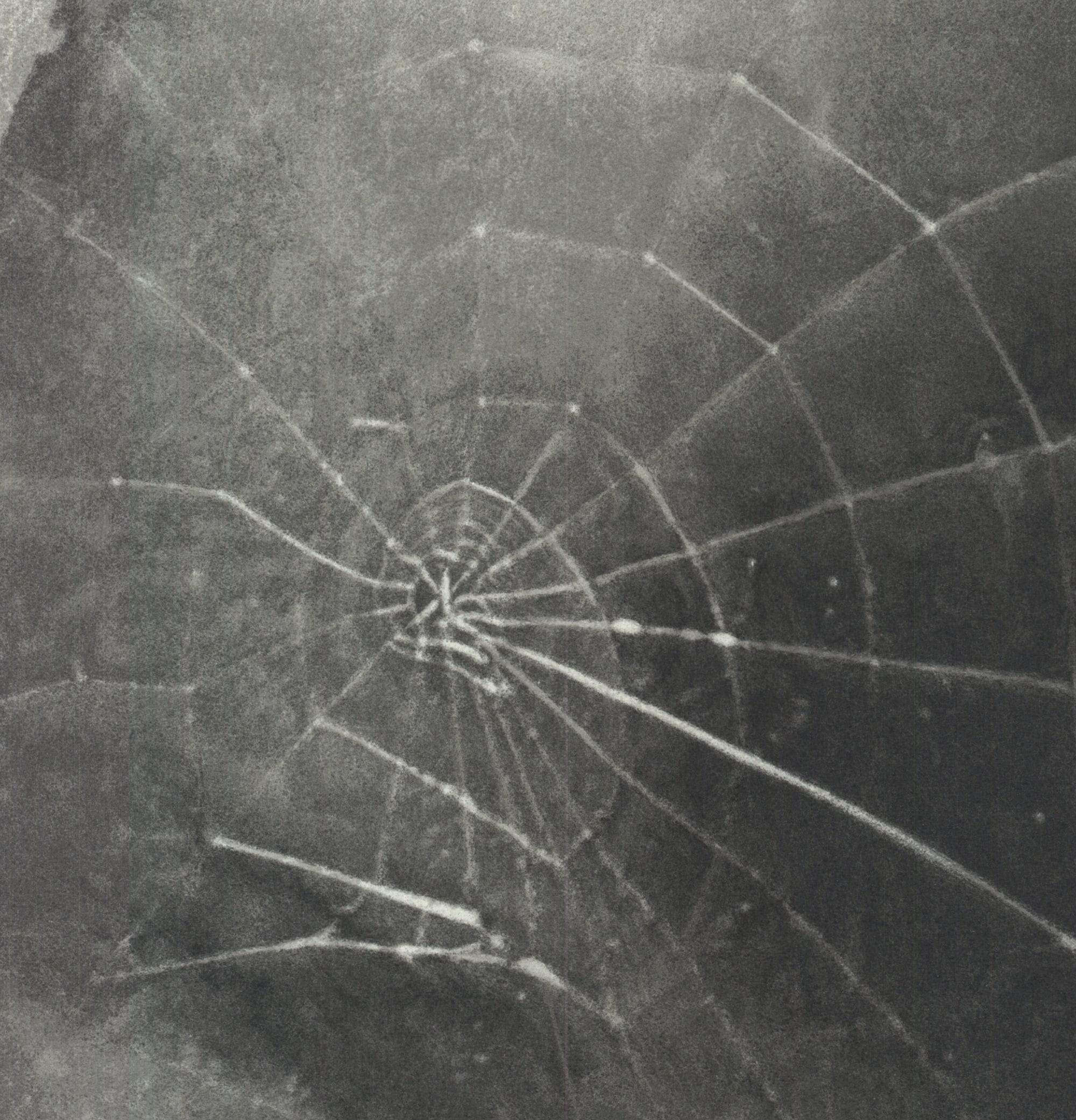 Vija Celmins