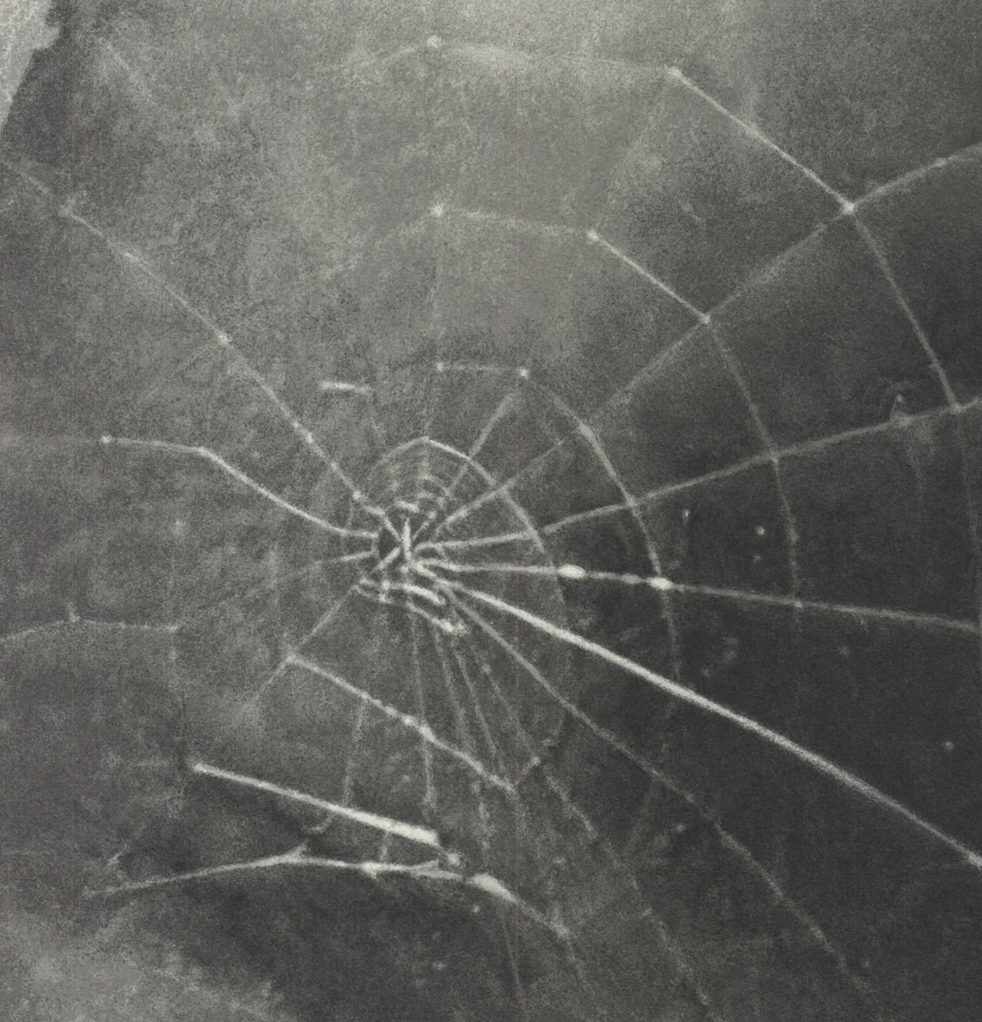 Vija Celmins