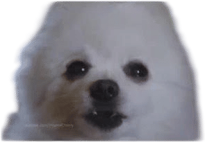 Linkin Bark - Numb