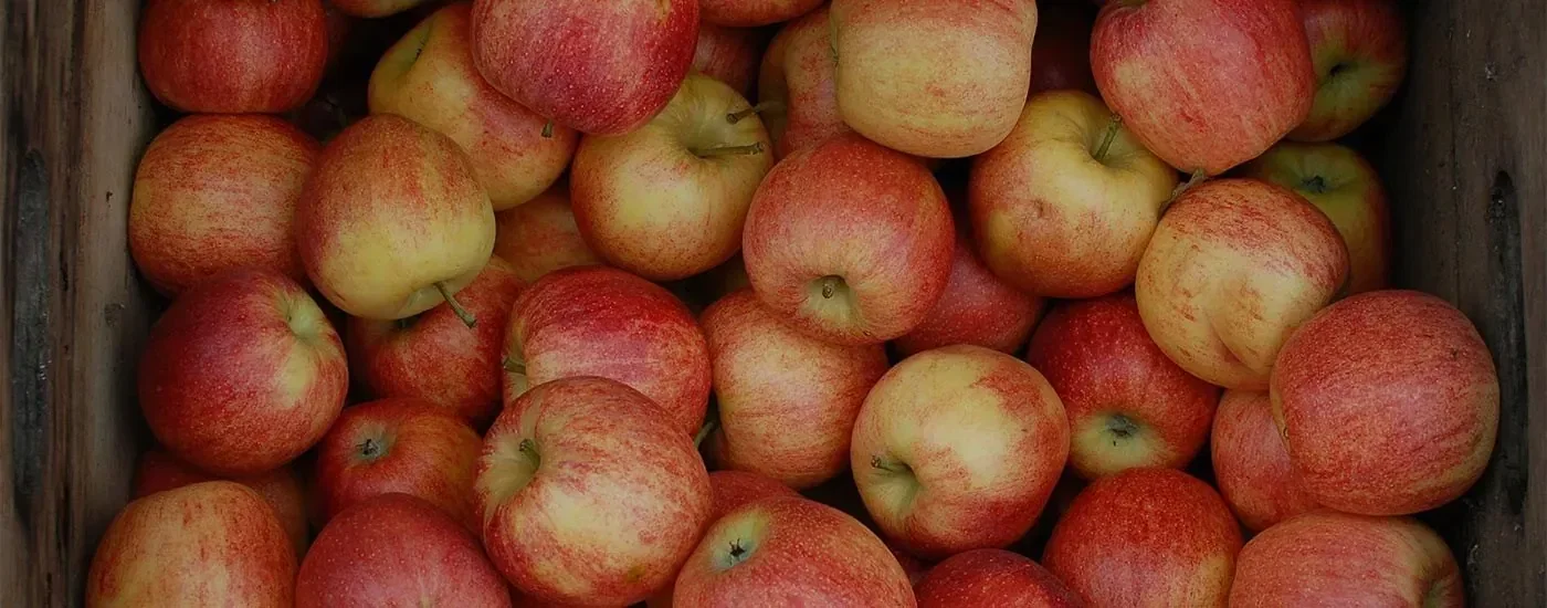 Aamodt's Apple Farm
