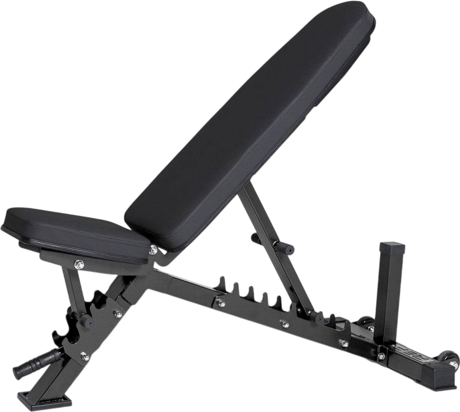 A Whole-Ass-Full-Body-Workout at Home with a Bench and Dumbbells for just 30 Minutes a Day