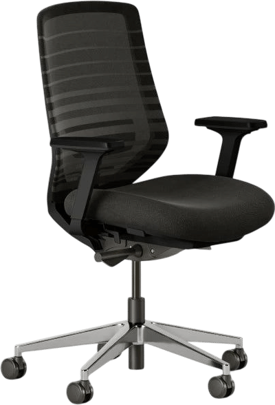 Branch Ergonomic Chair