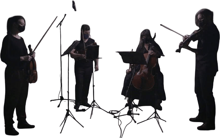 Caroline Shaw: Plan & Elevation V: The Beech Tree