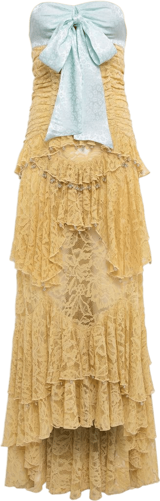 SIEDRÉS CORINNE Strapless Lace Maxi Dress