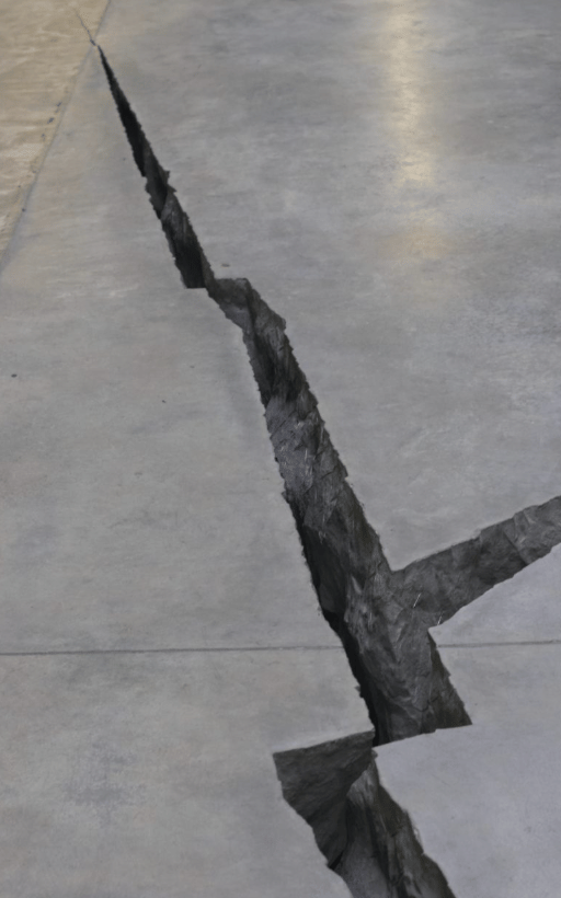 Doris Salcedo's Shibboleth