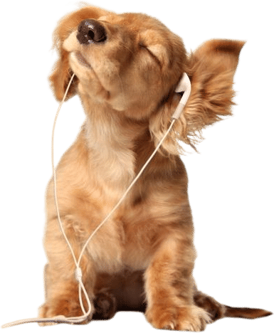only letting yourself listen to happy music