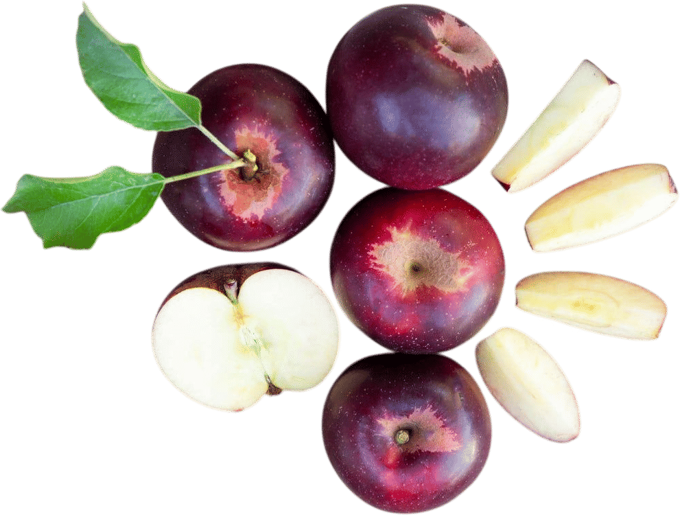 Arkansas Black Apples