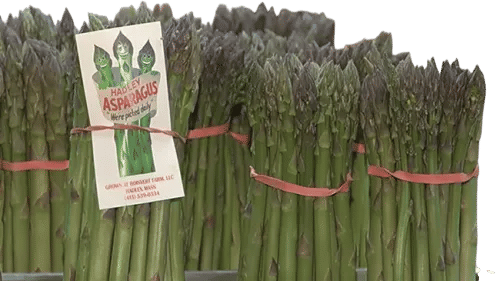 Asparagus from Hadley