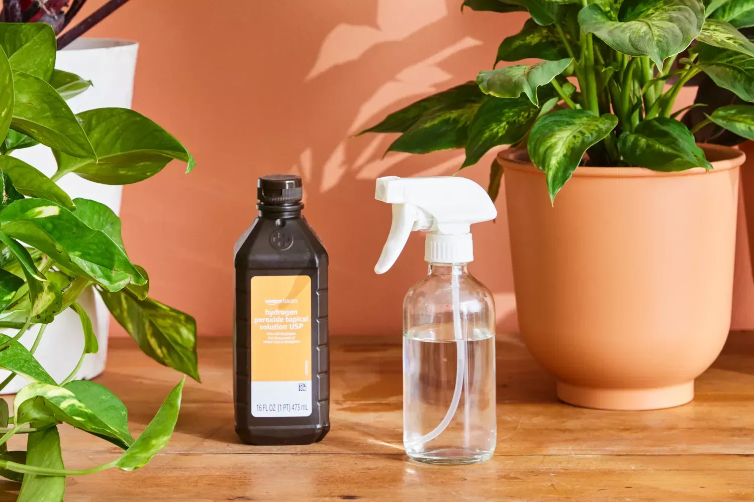 Using Hydrogen Peroxide when you water your plants