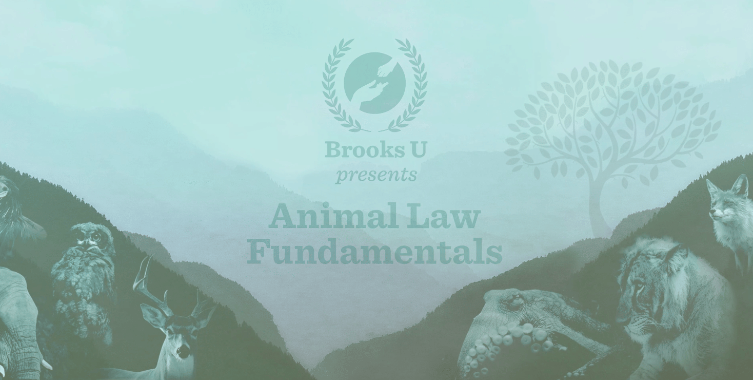 Animal Law Fundamentals 