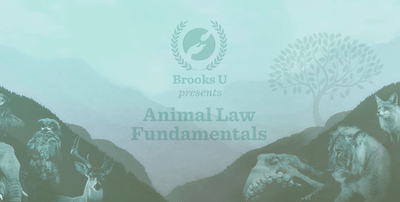 Animal Law Fundamentals