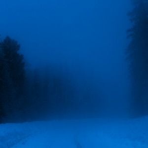 are we dreaming? / ambient music playlist - Antent 💭