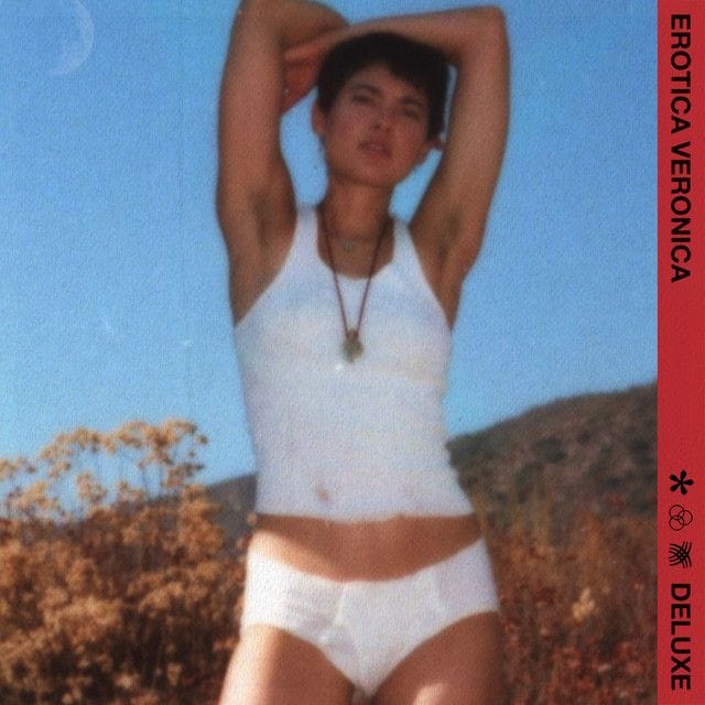 Taking an Album Walk