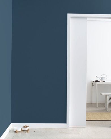 Gentleman's Gray Paint