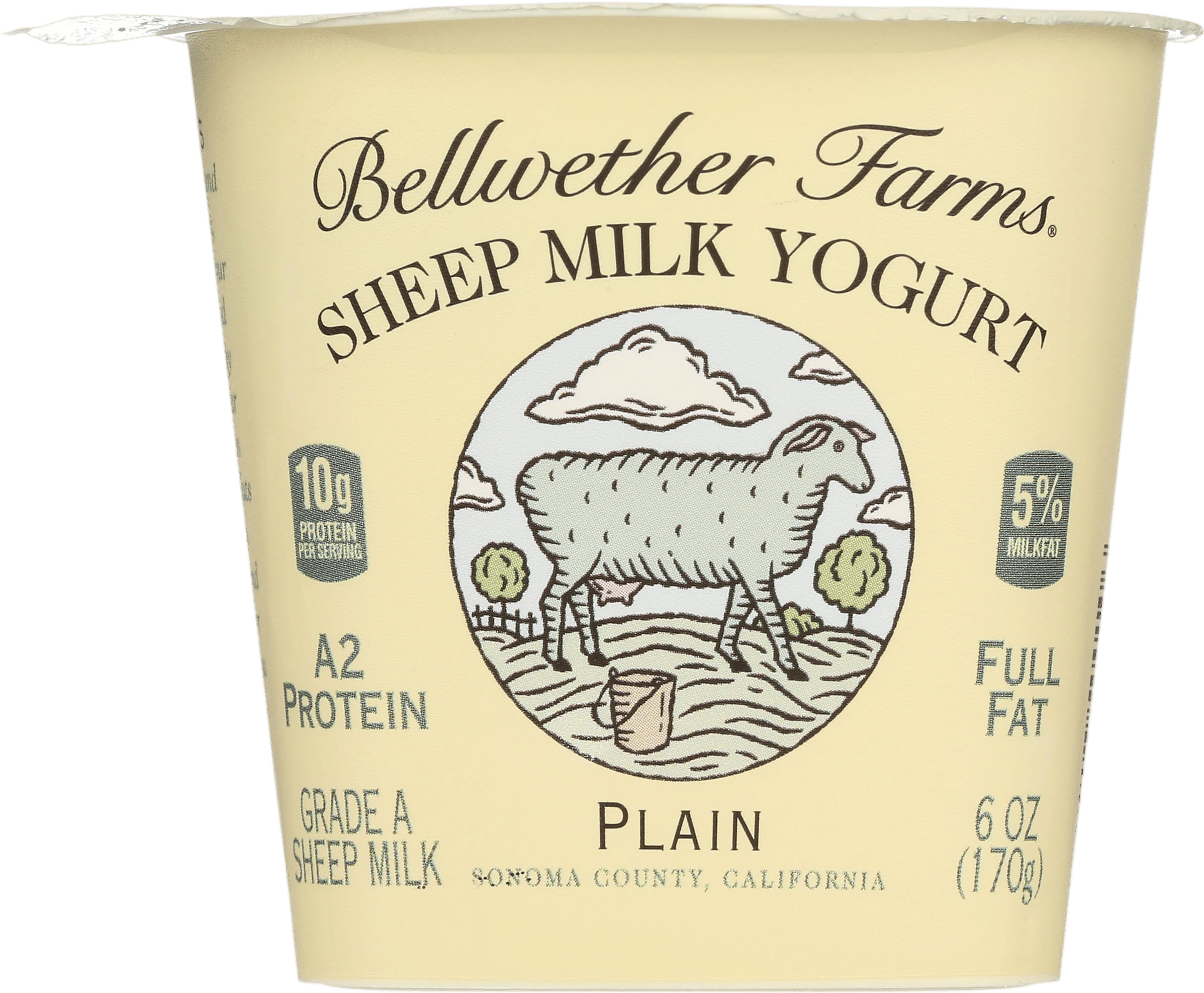 Sheep Milk Yogurt, Plain, 6 oz