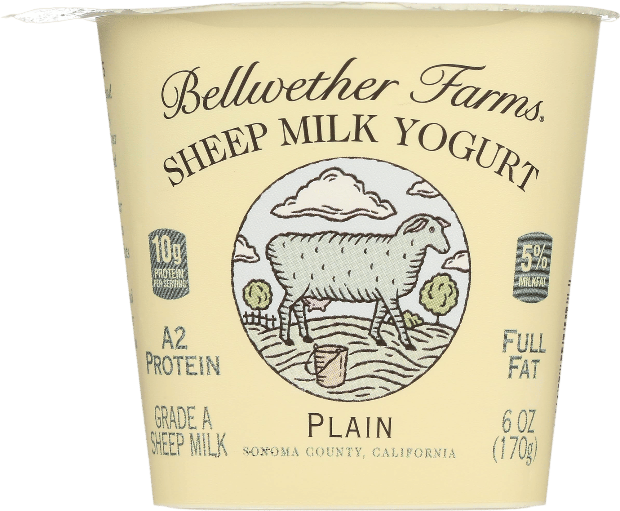Plain Sheep Milk Yogurt