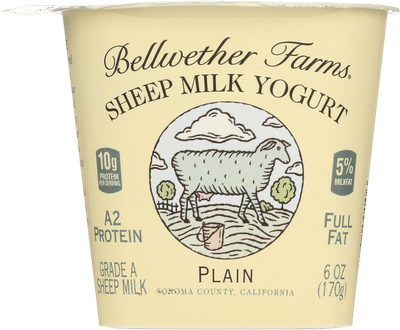 Plain Sheep Milk Yogurt