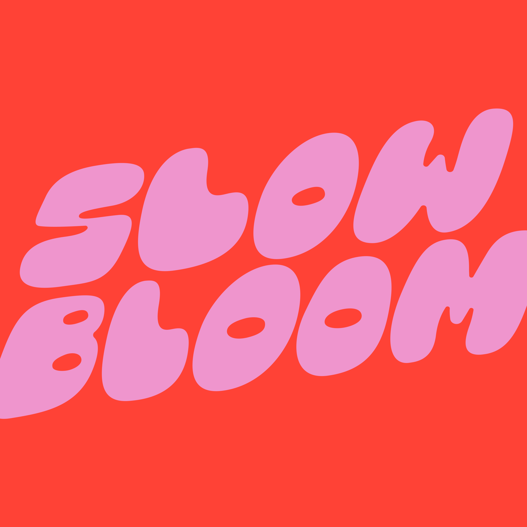 slow bloom coffee
