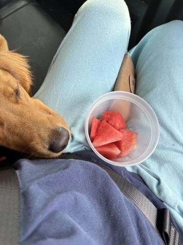 riding in the backseat