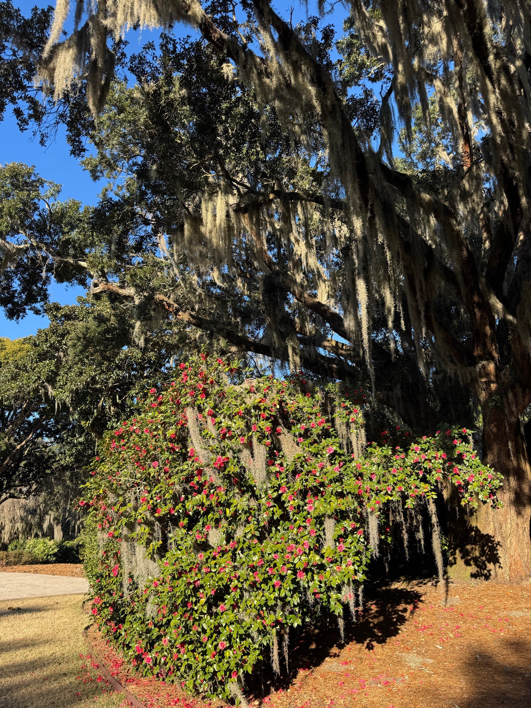Charlestowne Landing
