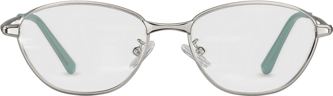 BLUE ELEPHANT ENZO matte silver