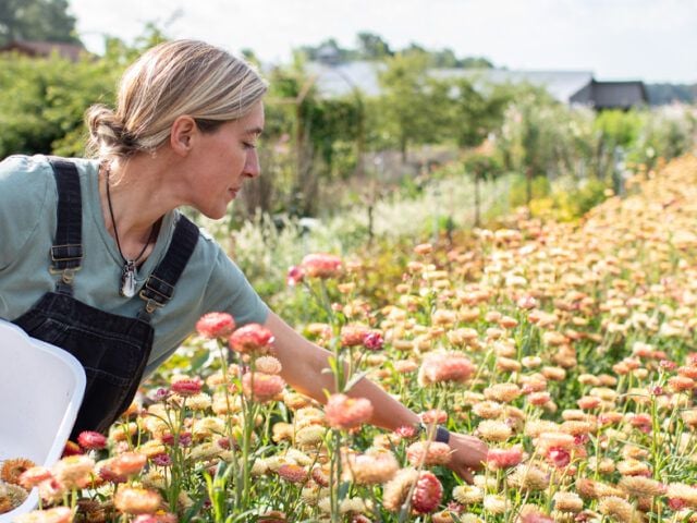 Floret Farm  in Mount Vernon, WA