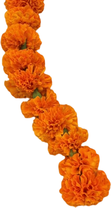Making marigold garlands