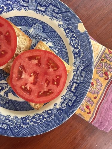 Summer tomato sandwiches