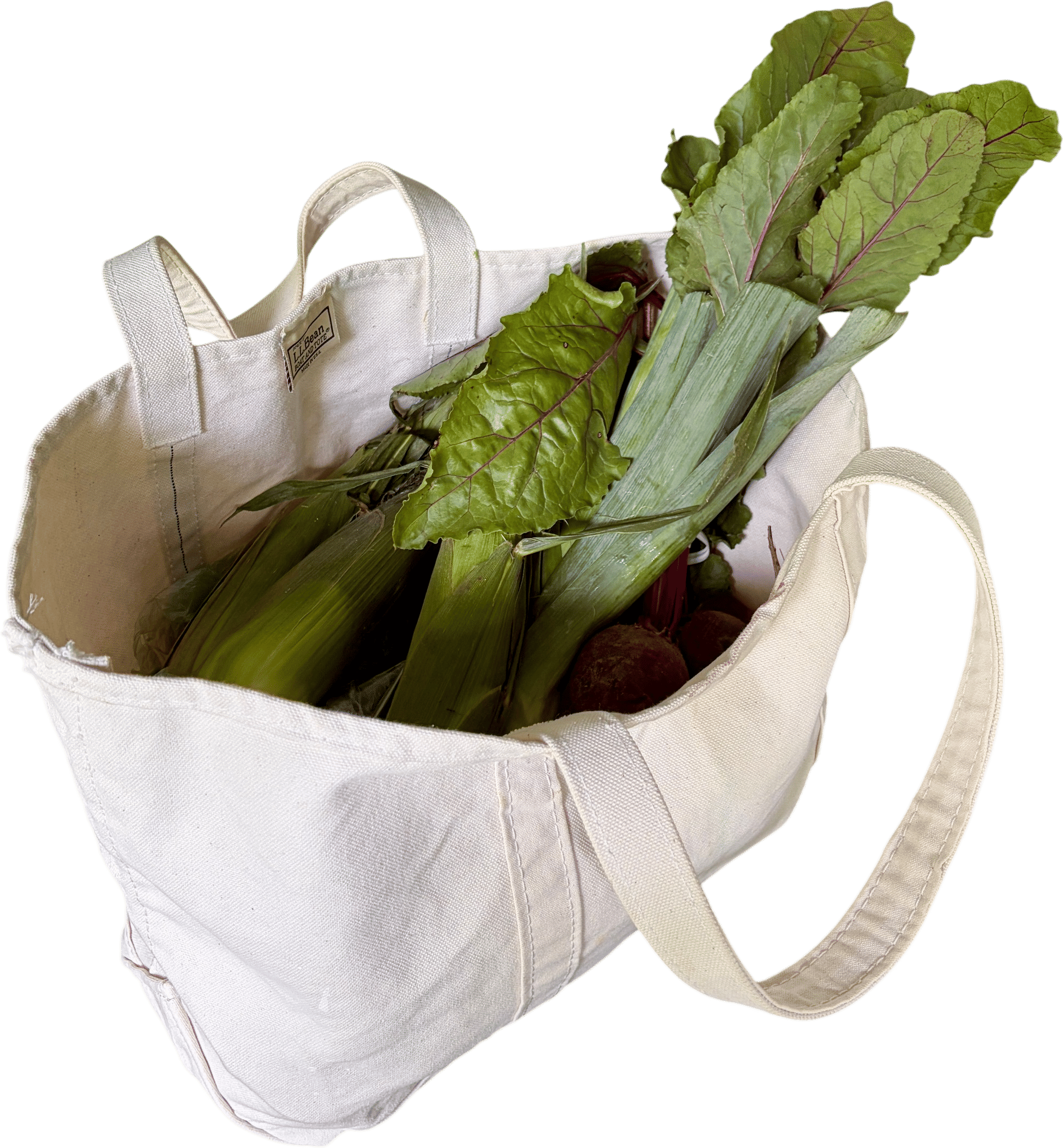 one giant grocery bag