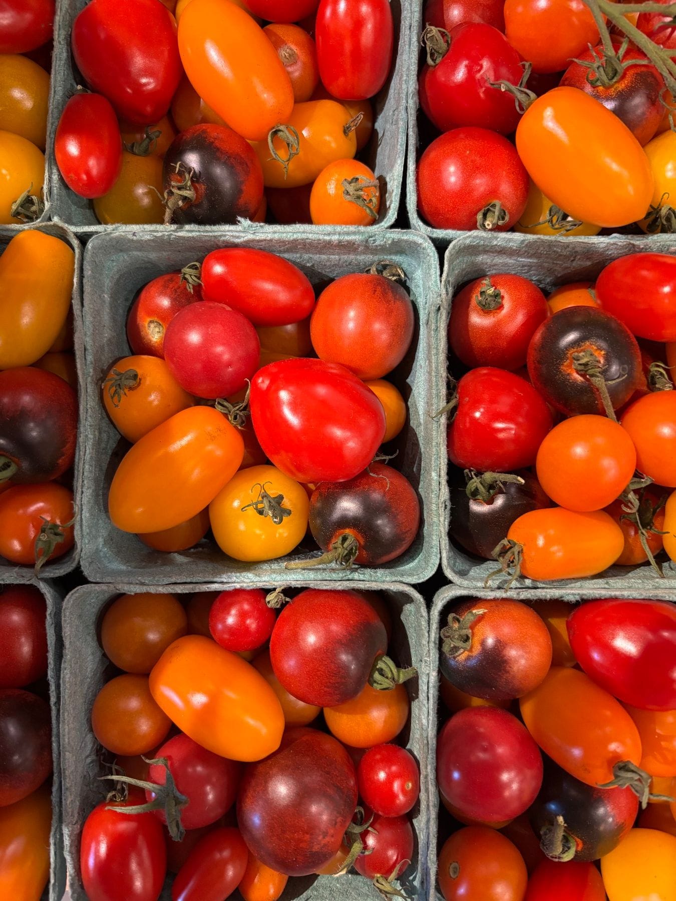 Berkshire Food Co-op