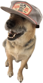 Training and Recovery