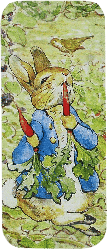 Peter rabbit mint tin