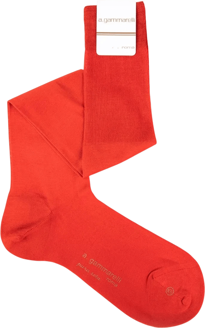 Gammarelli Socks in Pure Silk