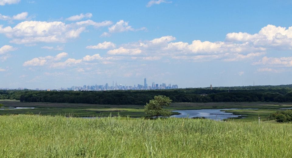 Freshkills Park