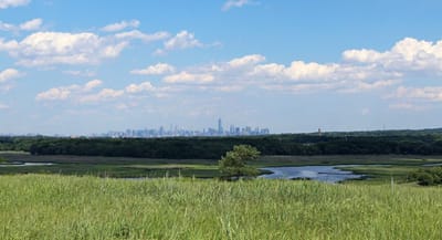 Freshkills Park