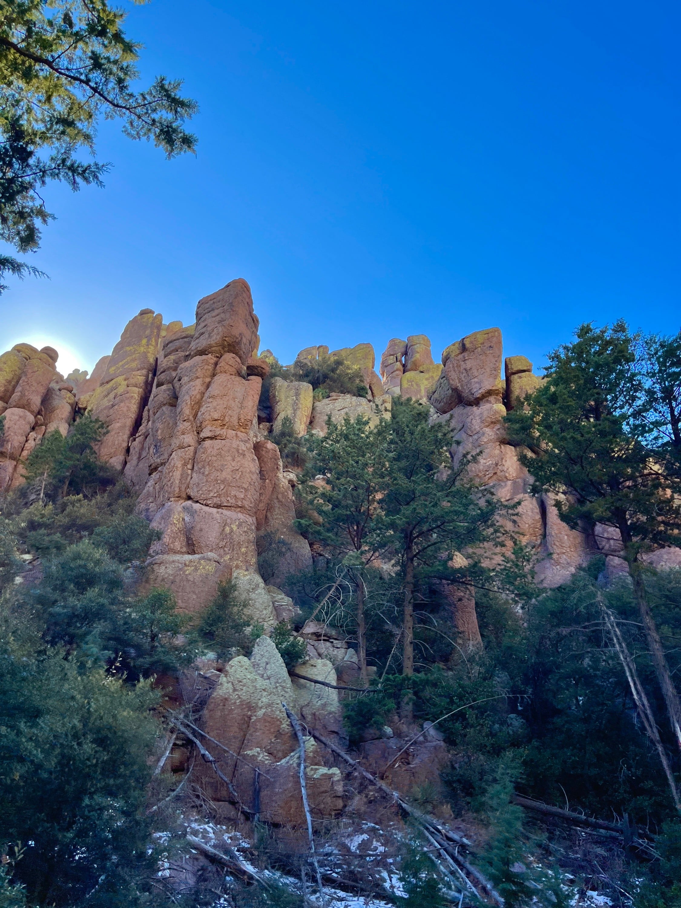 chiricahua national PARK