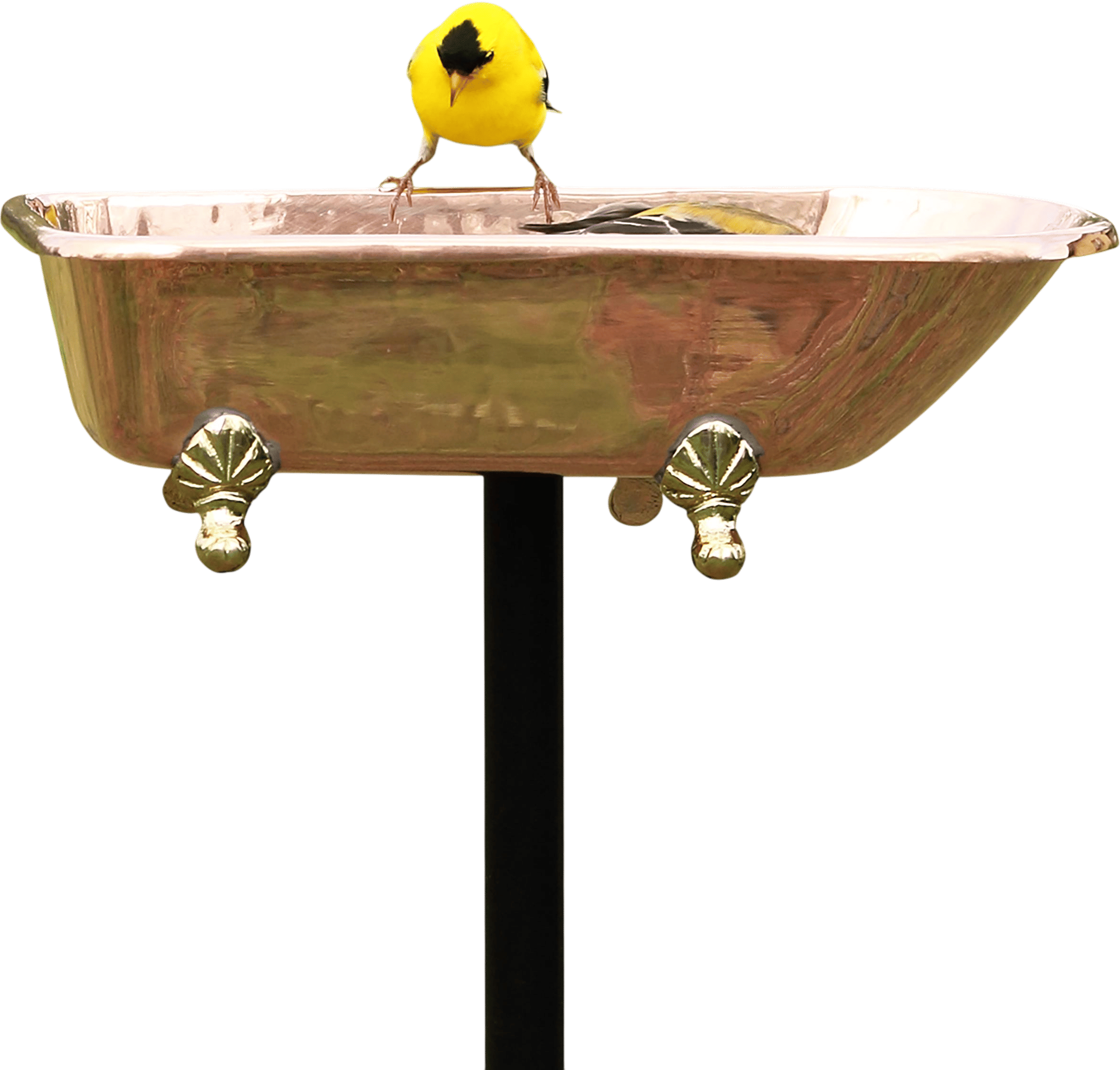 Splish Splash Birdbath, Polished Copper
